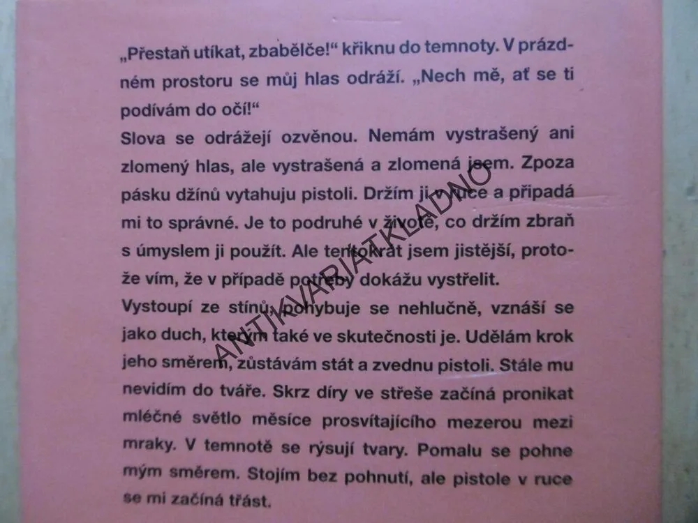 STŘÍPKY PRAVDY, LISA UNGEROVÁ, **an