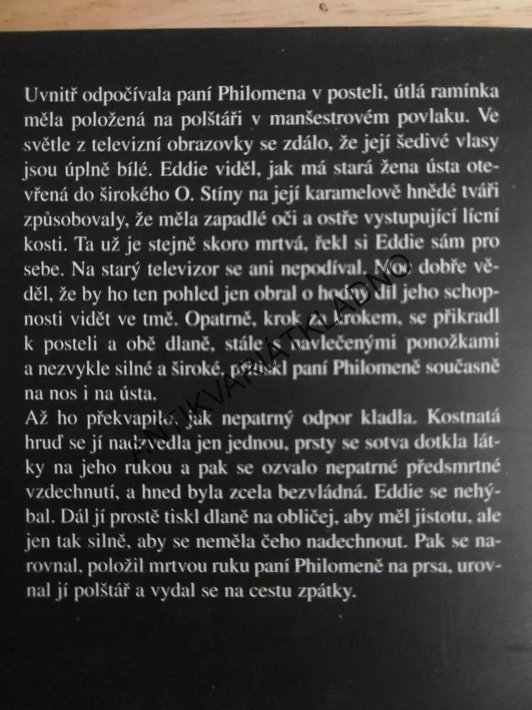 VIDITELNÁ TEMNOTA, JONATHON KING, **an