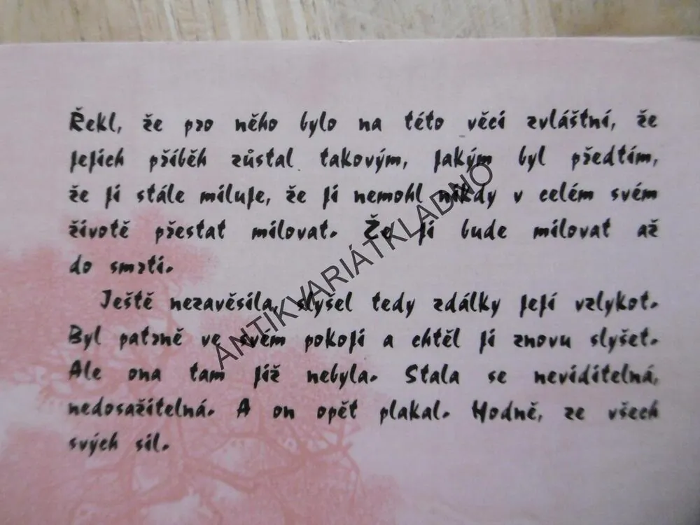 MILENEC ZE SEVERNÍ ČÍNY, MARGUERITE DURAS, **an