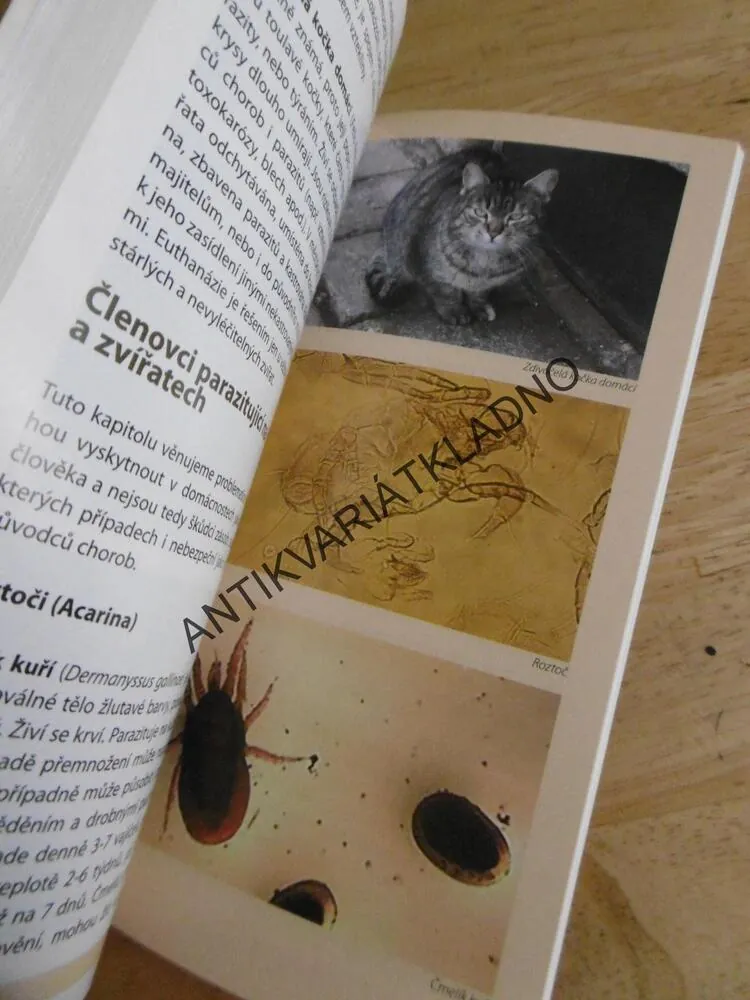 ŠKODLIVÍ A OBTÍŽNÍ ŽIVOČICHOVÉ KOLEM NÁS, JANA SEDLÁČKOVÁ, **an