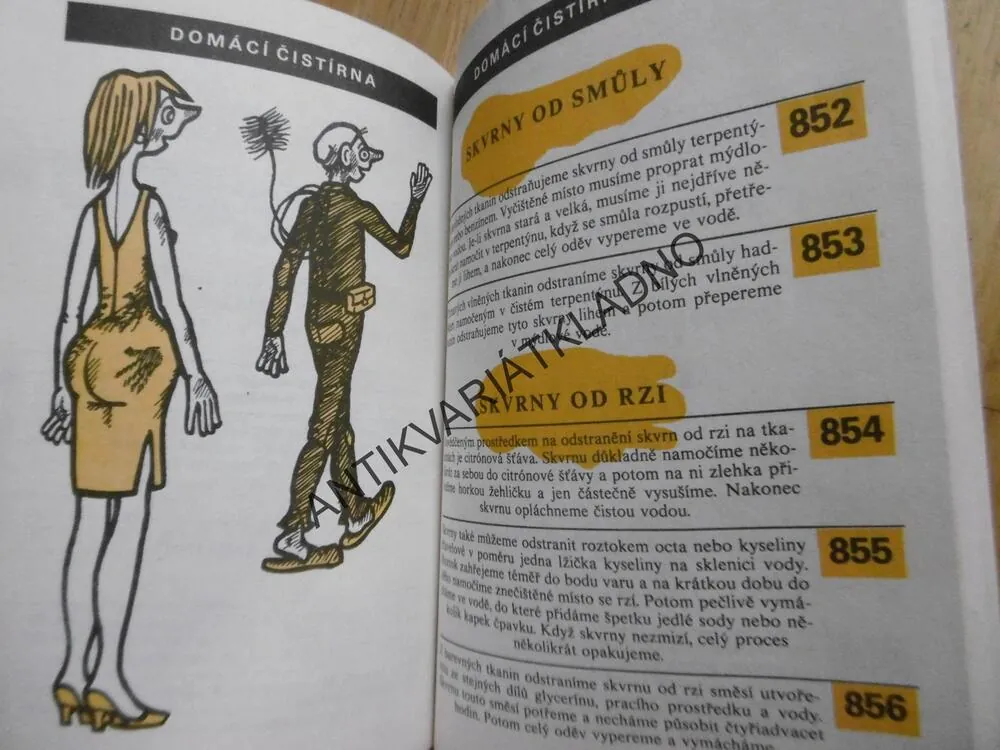 999 RAD PRO DOMÁCNOST, TAMARA MIROVSKÁ, **an