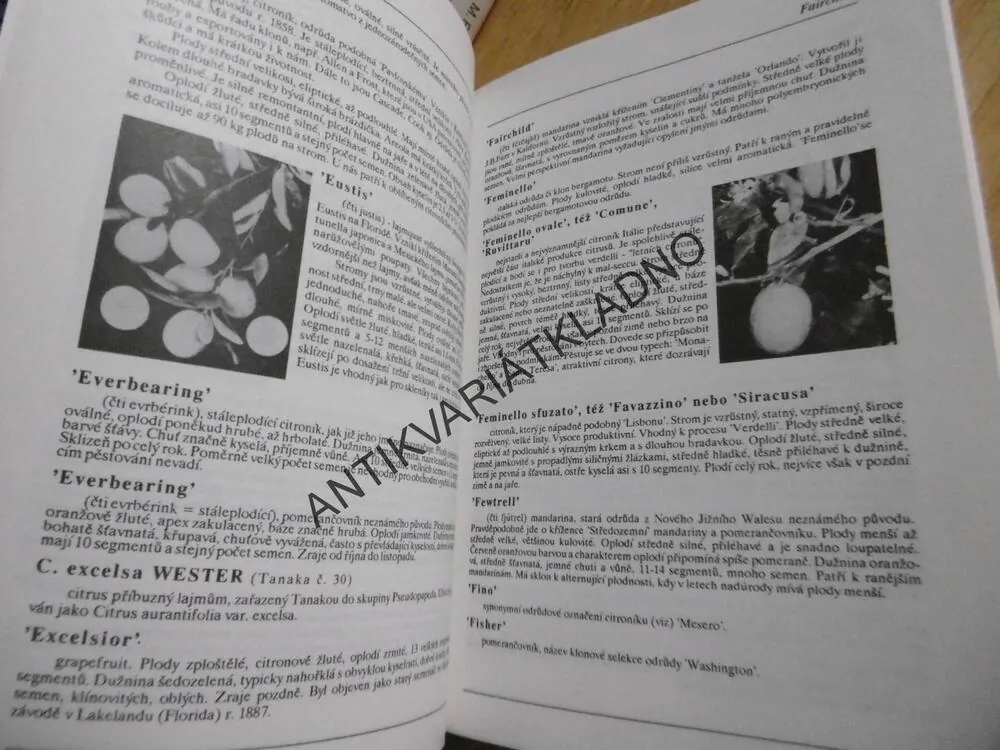 CITRUSY OD A DO Z, JIŘÍ ŠAMLA, **an