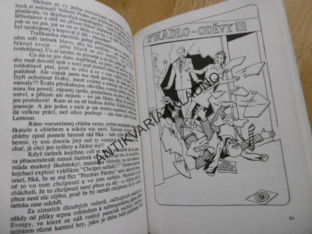 NOVÁČEK BUBÁČEK PÍŠE DENÍK, JAROSLAV FOGLAR, **an