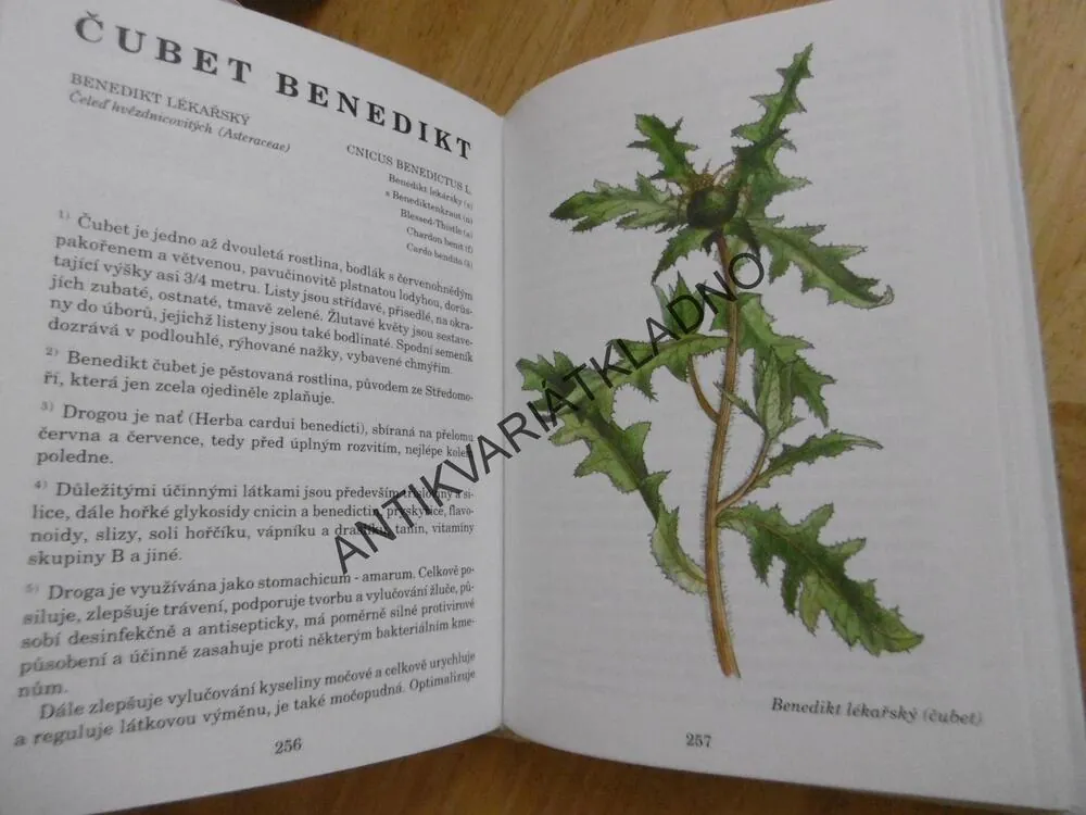 HERBÁŘ LÉČIVÝCH ROSTLIN 1., JIŘÍ JANČA, **an