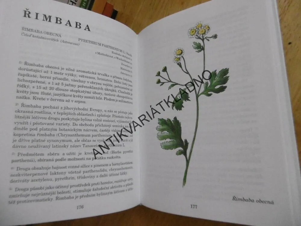 HERBÁŘ LÉČIVÝCH ROSTLIN 4., JIŘÍ JANČA, **an