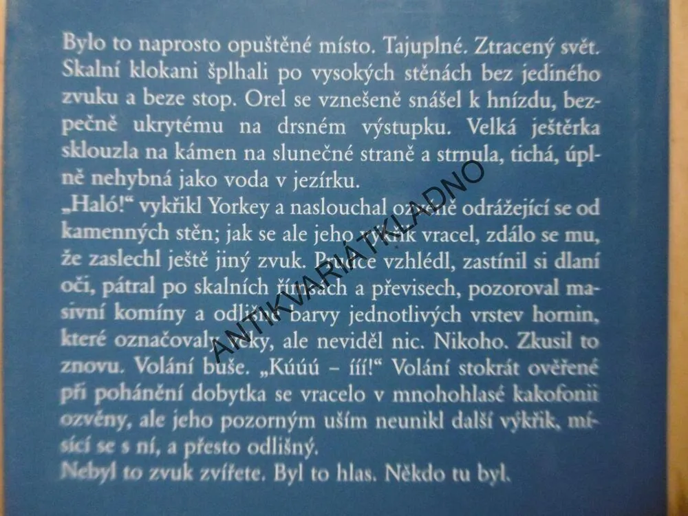 ČEKÁNÍ NA BOUŘI, PATRICIA SHAWOVÁ, **an