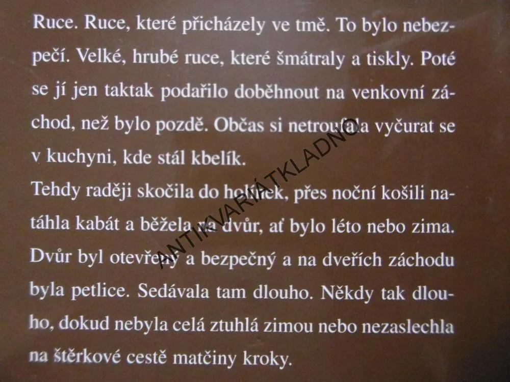 DŮM SE SLEPOU VERANDOU, HERBJORG WASSMO, **an