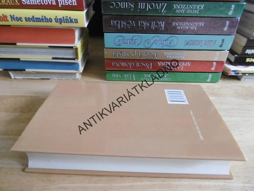 NALEZENÍ ZTRACENÉ LÁSKY, BERTRICE SMALLOVÁ, **an