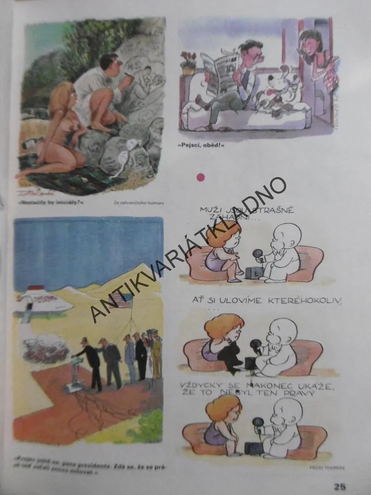 MAGAZÍN DIKOBRAZU, **an