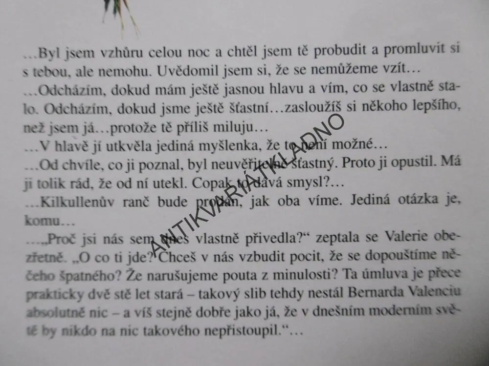 DAR LÁSKY, JUDITH KRANTZOVÁ, **an