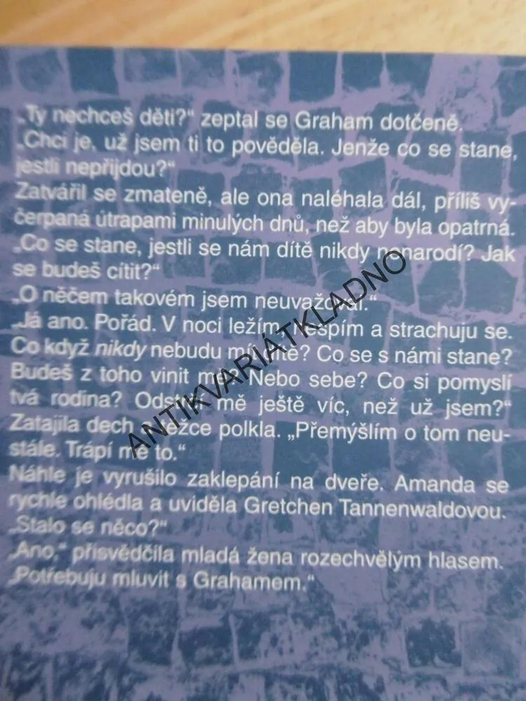 SLEPÁ ULIČKA, BARBARA DELINSKY, **an
