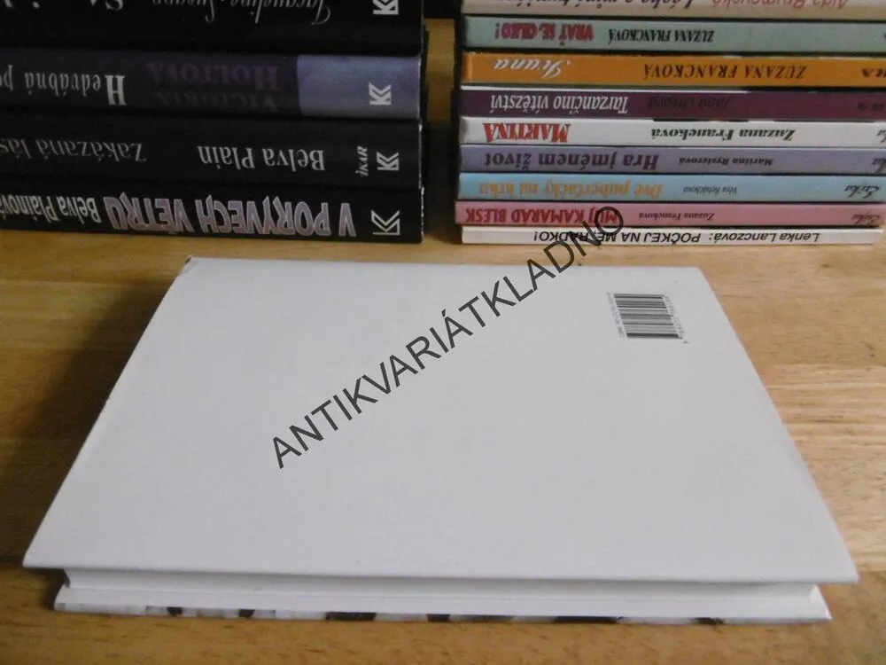 S DALŠÍM MUŽEM BUDE VŠECHNO JINAK, EVA HELLEROVÁ, **an