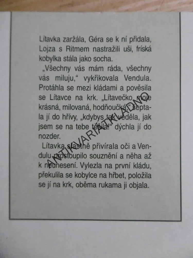 SPLNĚNÉ SNY, AIDA BRUMOVSKÁ, **an