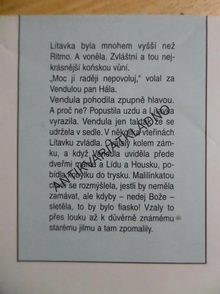 LÁSKA S VŮNÍ KOŇSKÉ HŘÍVY, AIDA BRUMOVSKÁ, **an