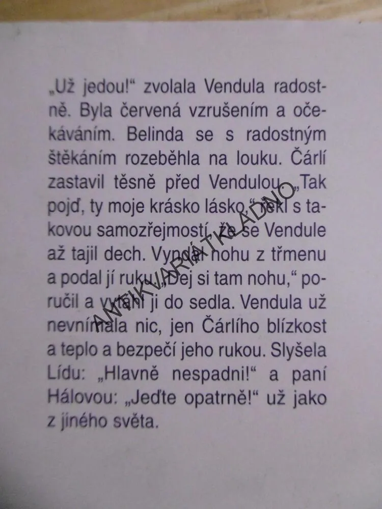LÁSKA S VŮNÍ TYMIÁNU, AIDA BRUMOVSKÁ, **an