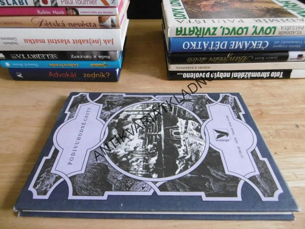 OCELOVÉ MĚSTO, JULES VERNE, **an