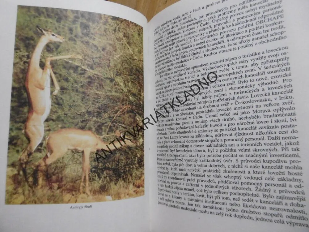 LOVY, LOVCI, ZVÍŘATA, VLADIMÍR PAULIŠTA, **an