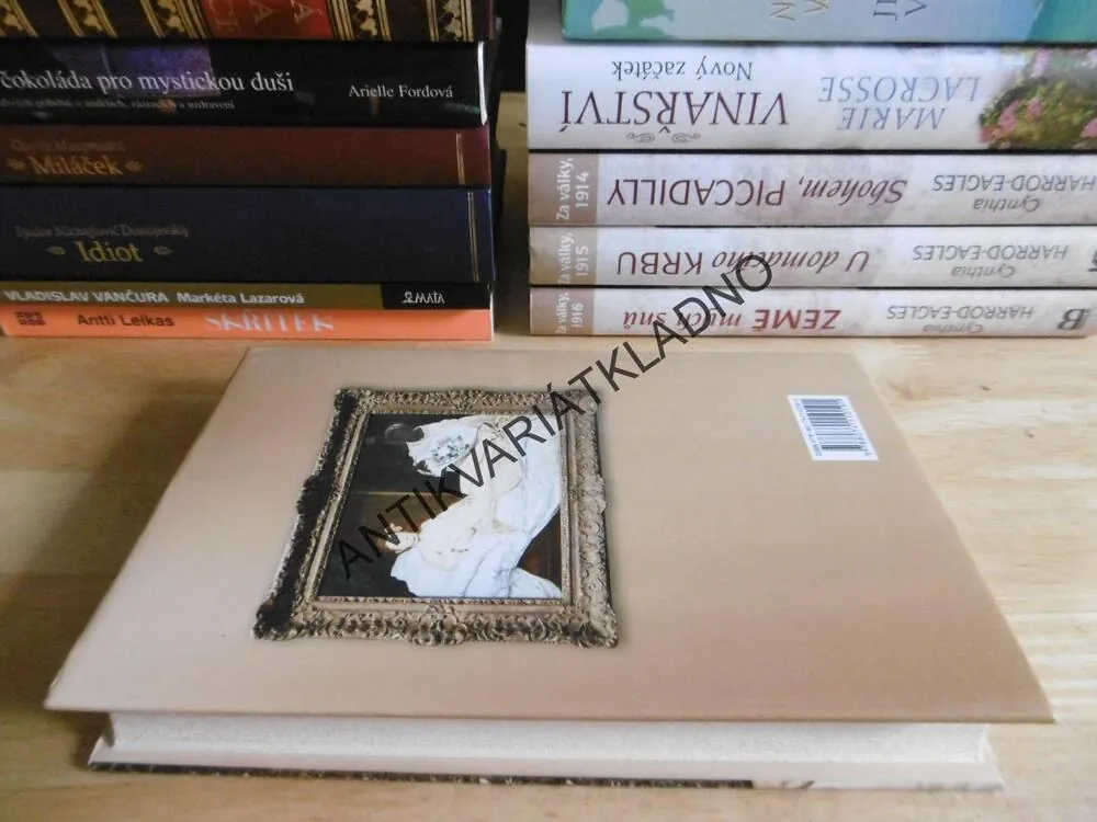 MADEMOISELLE VICTORINE - PŘÍBĚH PAŘÍŽSKÉ KURTIZÁNY, DEBRA FINERMAN, **an