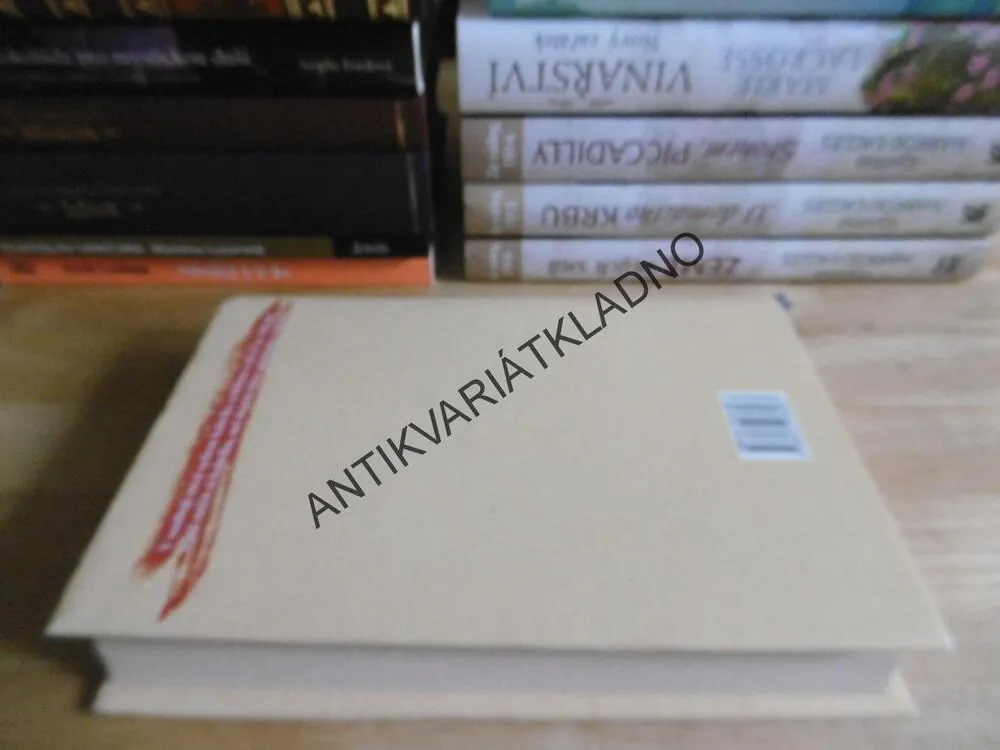 PŘÍRUČKA ŠPATNÉ MATKY, KATE LONGOVÁ, **an