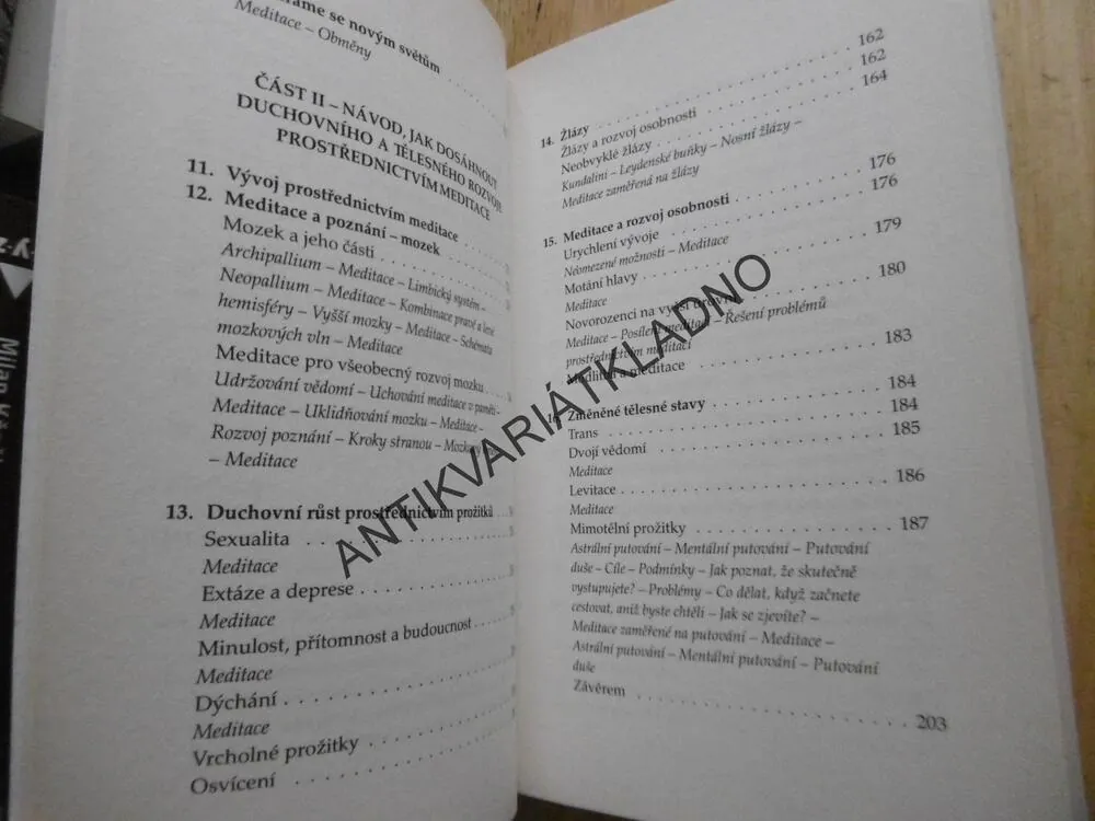 MEDITACE JAKO SPIRITUÁLNÍ TECHNIKA, GENEVIEVE L. PAULSONOVÁ, **an