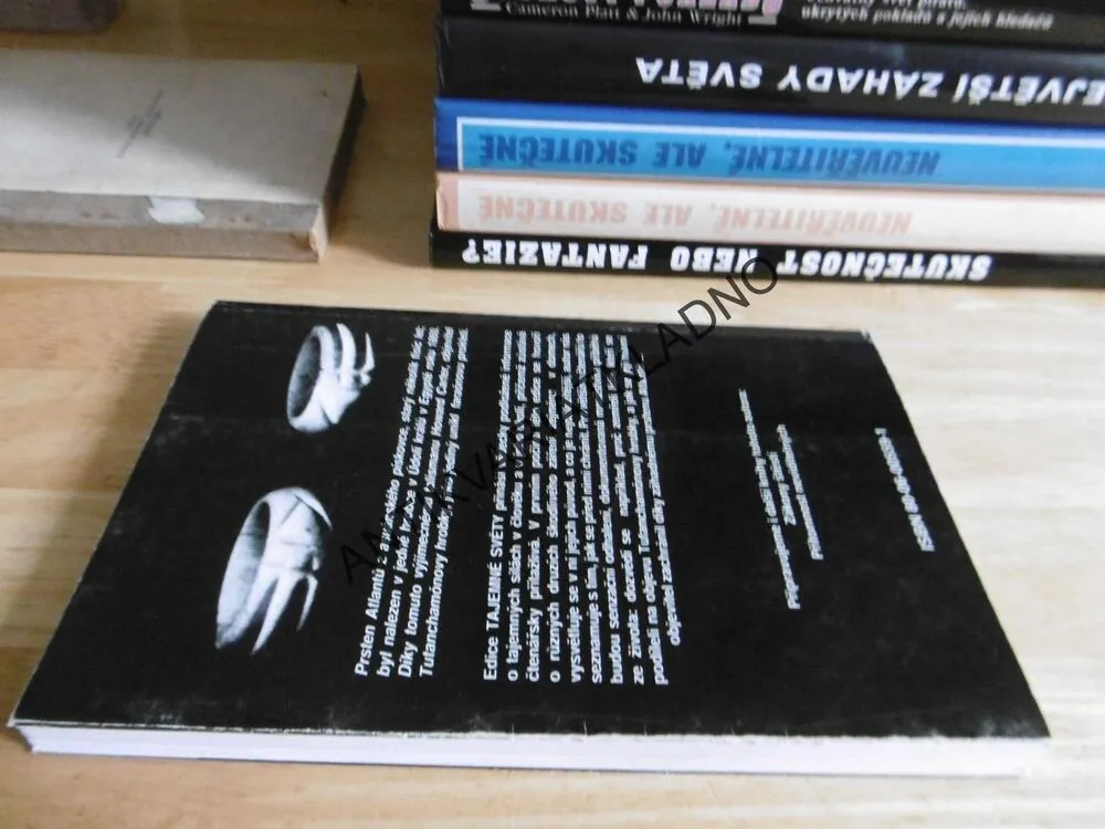 DOMY, KTERÉ ZABÍJEJÍ, ROGER DE LAFFOREST, **an