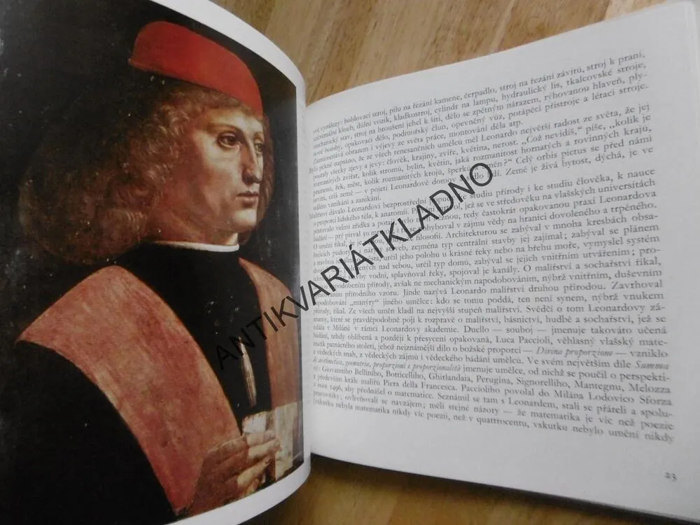 MALÁ GALERIE - LEONARDO DA VINCI, VÝTVARNÉ UMĚNÍ, **an