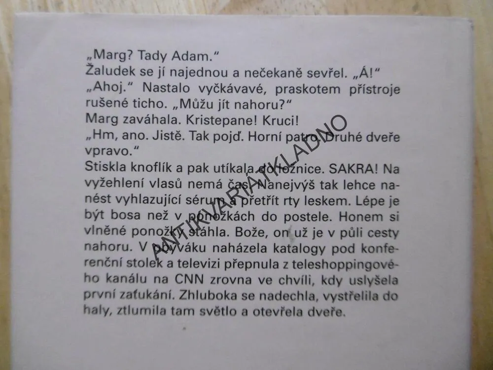 MEZI NÁMI DĚVČATY, KRISTY SCOTTOVÁ, **an