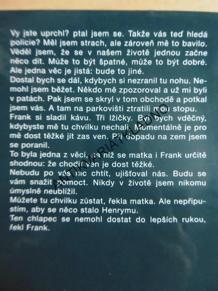 SVÁTEČNÍ VÍKEND, JOYCE MAYNARDOVÁ, **an
