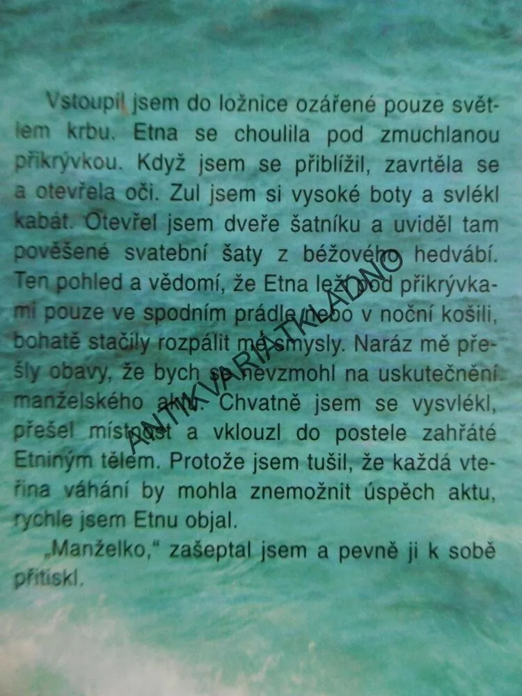 VŠE, CO SI KDY PŘÁL, ANITA SHREVEOVÁ, **an