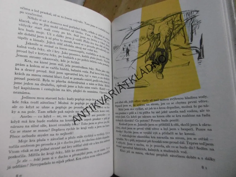 ŘÍKALI MU ULIČNÍK, DONÁT ŠAJNER, **an