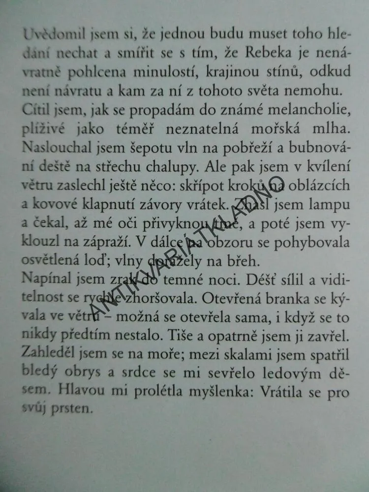 REBEČIN PŘÍBĚH, SALLY BEAUMAN, **an