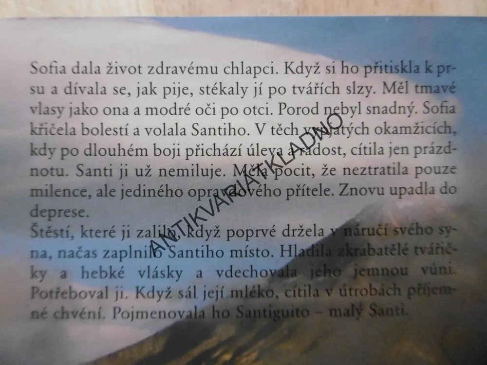 RODINNÉ TAJEMSTVÍ, SANTA MONTEFIORE, **an
