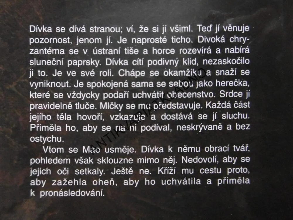 BYLA JSEM MADAM MAO, ANCHEE MINOVÁ, **an