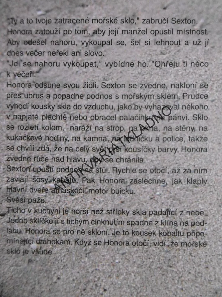 STŘÍPKY SKLA, ANITA SHREVEOVÁ, **an