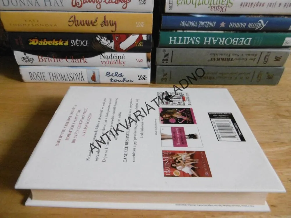 4 BLONDÝNKY, CANDANCE BUSHNELLOVÁ, **an