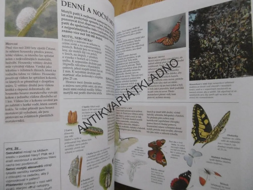 ŠKOLNÍ ENCYKLOPEDIE, 96 TÉMAT, 600 ILUSTRACÍ, 550 HESEL, 