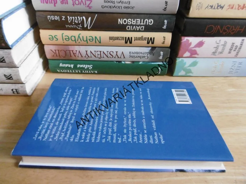 LAZAROVO DÍTĚ, ROBERT MAWSON, **an