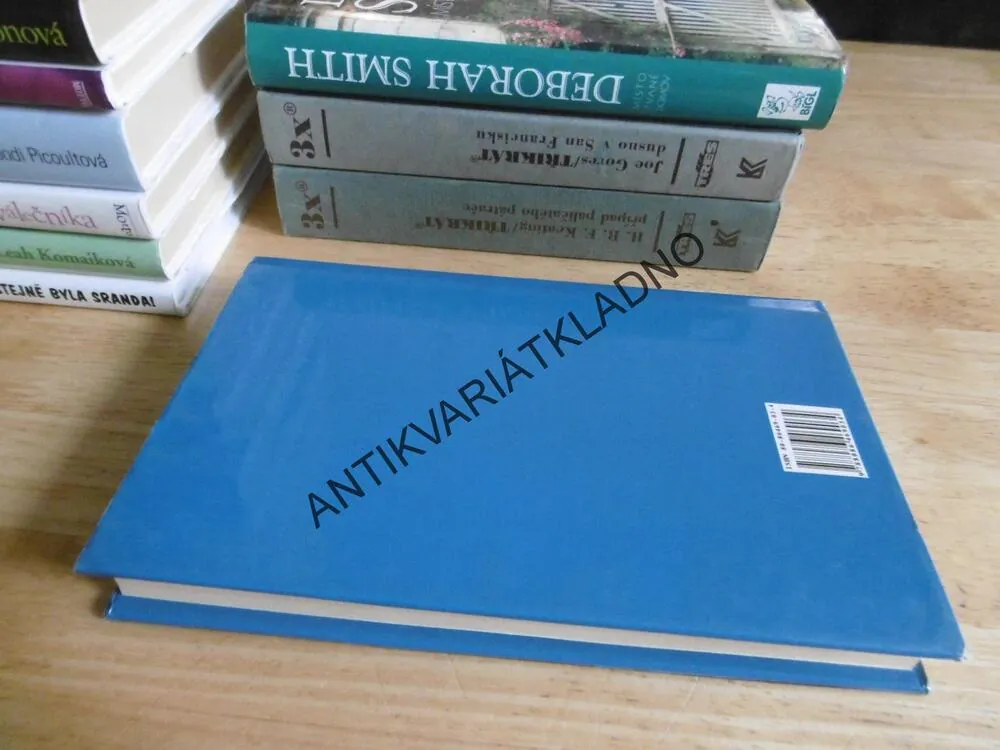 ANDĚLSKÉ VODOPÁDY, KRISTIN HANNAH, **an
