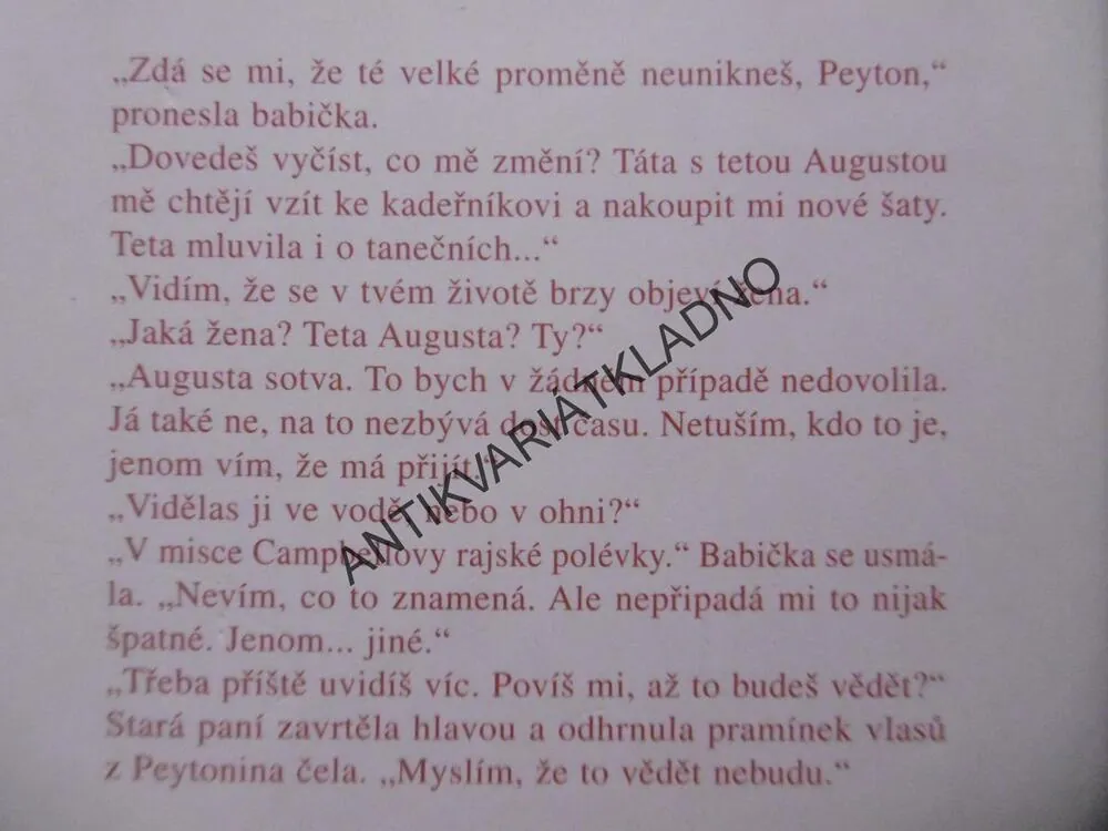 NEZKROTNÁ NORA, ANNE RIVERS SIDDONSOVÁ, **an