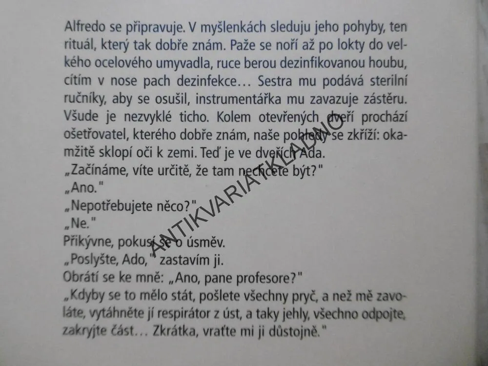 NEHÝBEJ SE, MARGARET MAZZANTINI, **an