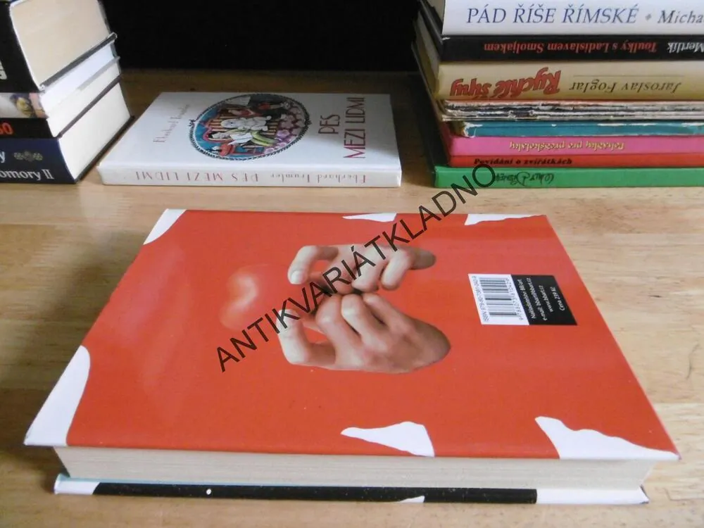 PSÁNO VE HVĚZDÁCH, SARAH BALL, **an