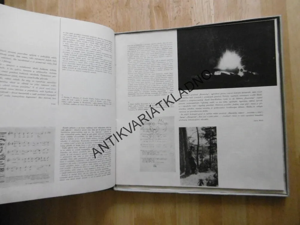 TRAMPSKÉ PÍSNĚ, 1920 - 1960, 2 LP