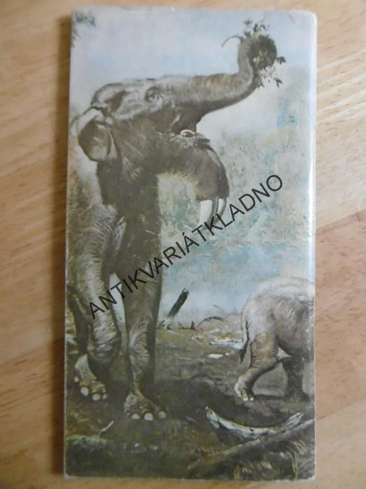 VÝVOJ ŽIVOTA NA ZEMI, STÁLÁ EXPOZICE OBRAZŮ ZDEŇKA BURIANA