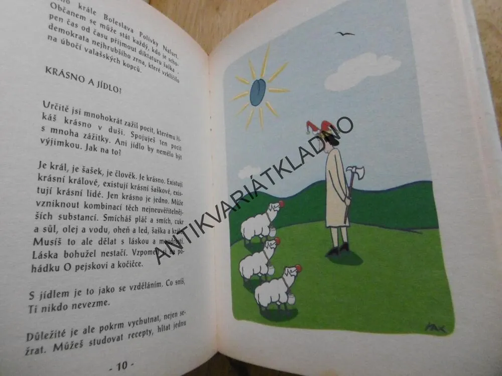 KUCHAŘKA VALAŠSKÉHO KRÁLOVSTVÍ ANEB POLÍVKA JE GRUNT, **an