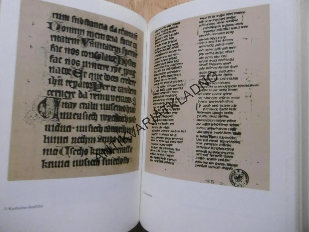 PRŮVODCE PO DĚJINÁCH ČESKÉ LITERATURY, JOSEF HRABÁK, DUŠAN JEŘÁBEK, ZDEŇKA TICHÁ, **an