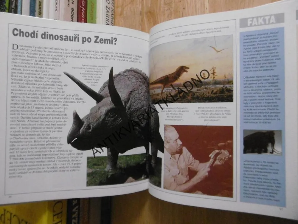 LIDÉ A PŘÍŠERY, PODIVNÉ BYTOSTI A NEUVĚŘITELNÍ TVOROVÉ: MÝTUS NEBO SKUTEČNOST?, RICHARD O'NEILL, **an