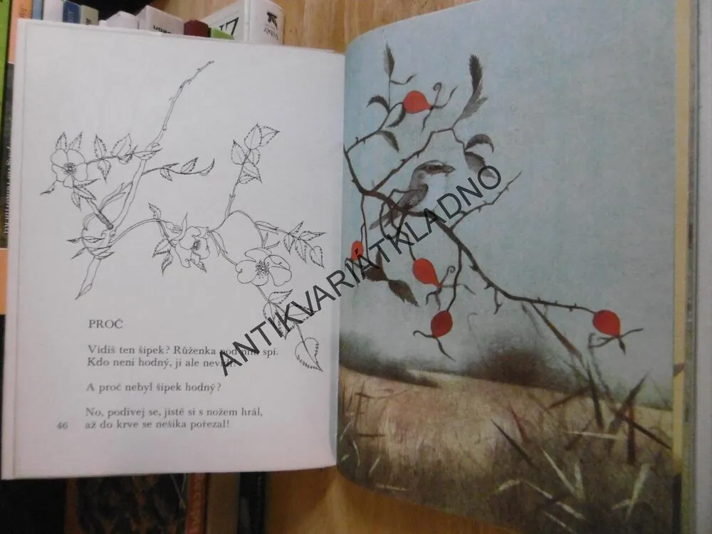 PŘED USNUTÍM, FRANTIŠEK HALAS, OTA JANEČEK, **an