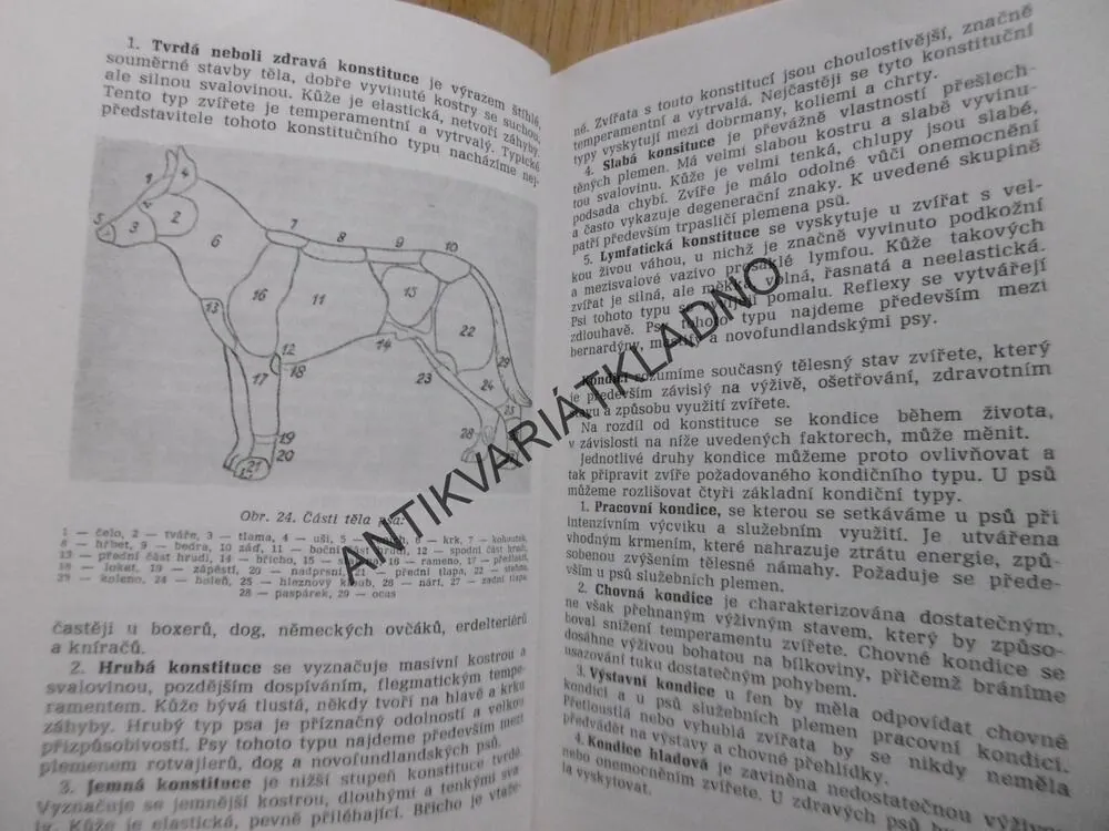 VÝCVIK PSA, KAREL HARTL, KAREL NĚMEC, JAN SKUHROVSKÝ, **an