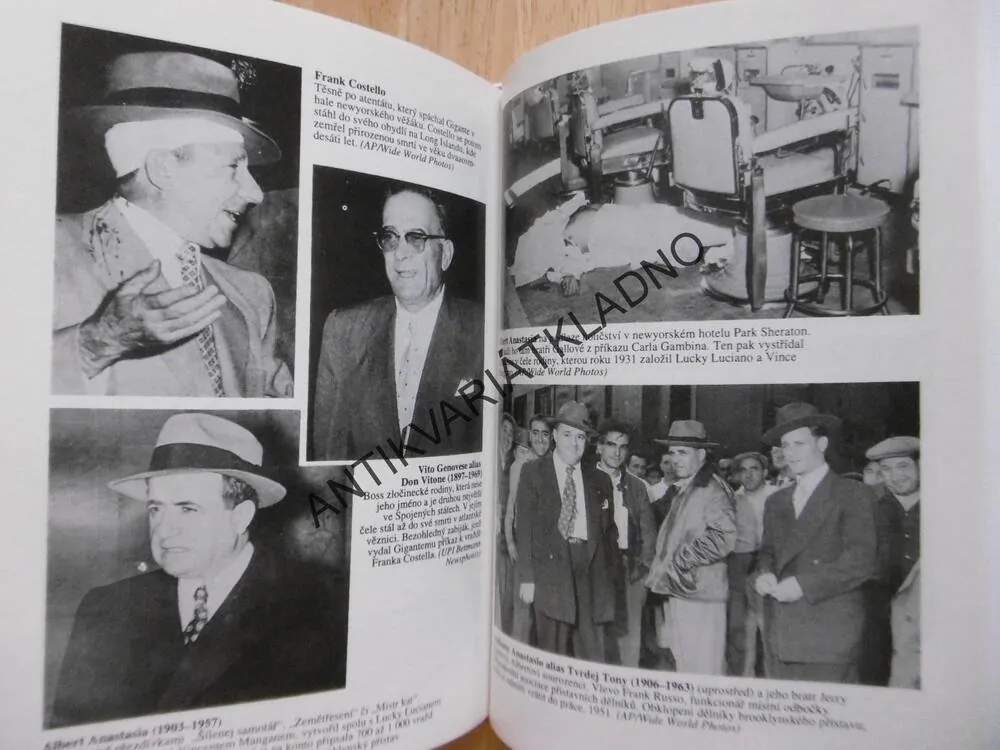DYNASTIE MAFIE, VZESTUP A PÁD RODINY GAMBINO, JOHN H. DAVIS, **an