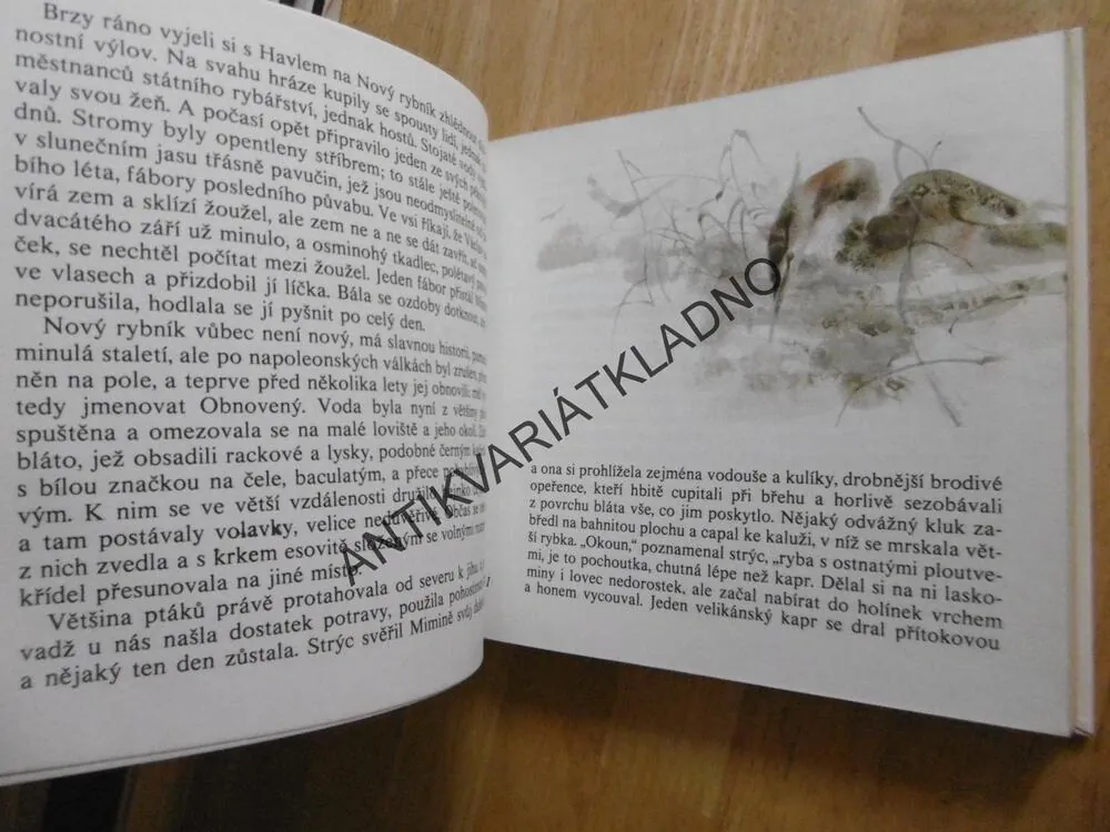 LABUTÍ OBLAKA, JAROMÍR TOMEČEK, ZDENĚK BRDLÍK, **an